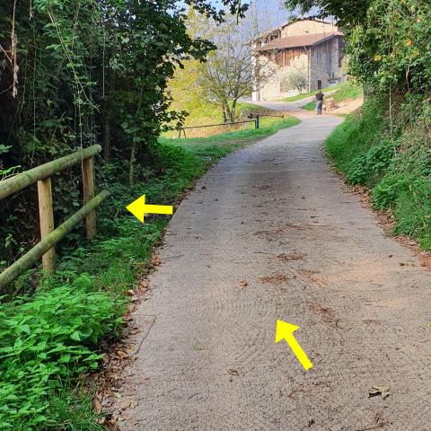 Foto nr. 8 prestiamo molta attenzione per individuare il sentiero che si stacca sulla sinistra in discesa - © G.S. Marinelli, riproduzione vietata.