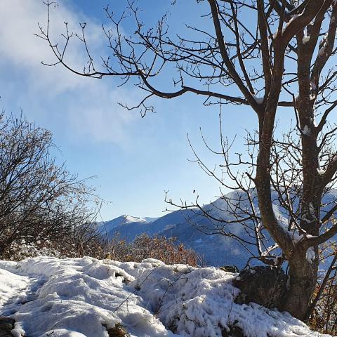  sentieri del Monte Rena in veste invernale - © G.S. Marinelli, riproduzione vietata.