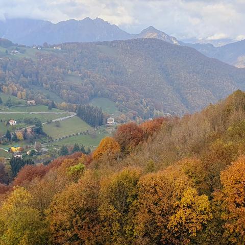 Colori d'autunno a Ganda - © G.S. Marinelli, riproduzione vietata.