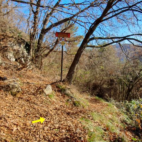 Foto nr. 12 superiamo un altro cartello segnaletico del sentiero nr. 6 che risale in direzione opposta alla nostra - © G.S. Marinelli, riproduzione vietata.
