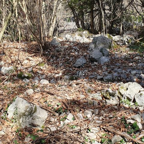 Foto nr. 1 In zona Brandena appaiono consistenti giaciture di detriti di versante - © G.S. Marinelli, riproduzione vietata.
