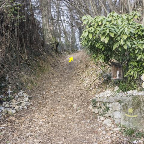 Foto nr. 1 Lasciamo Via Perola e imbocchiamo il sentiero sulla nostra destra - © G.S. Marinelli, riproduzione vietata.