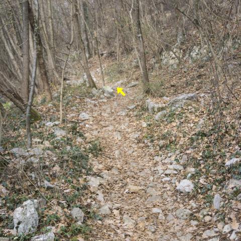 Foto nr. 4 il sentiero prosegue su fondo sconnesso con sassi affioranti - © G.S. Marinelli, riproduzione vietata.