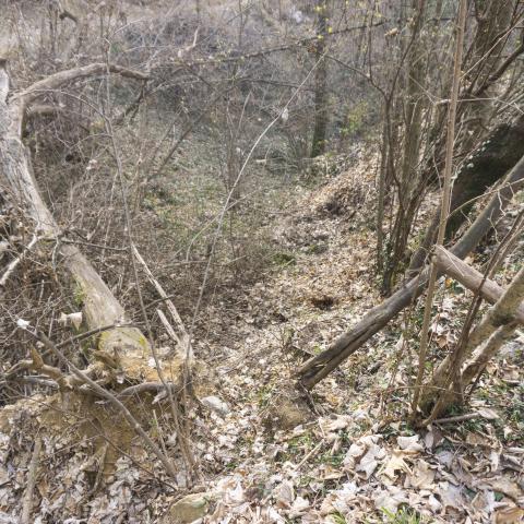 Foto nr. 9 superiamo la Valle di Rena. spesso intasata da alberi caduti - © G.S. Marinelli, riproduzione vietata.