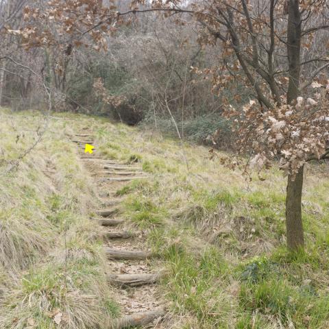 Foto nr. 1 il sentiero è caratterizzato, nella prima parte, da un tratto ben attrezzato con traversini di legno - © G.S. Marinelli, riproduzione vietata.