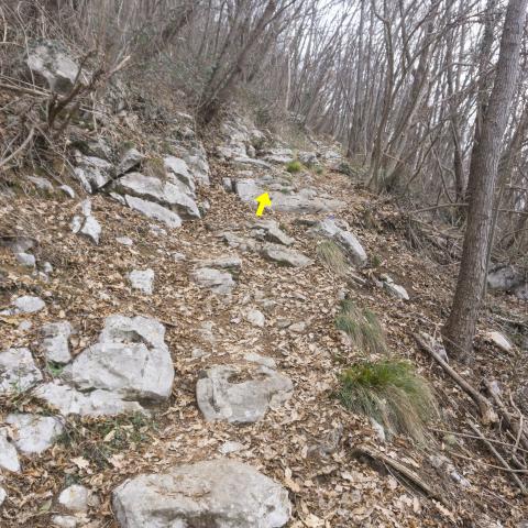 Foto nr. 5 il sentiero procede ancora a mezza costa su rocce affioranti - © G.S. Marinelli, riproduzione vietata.