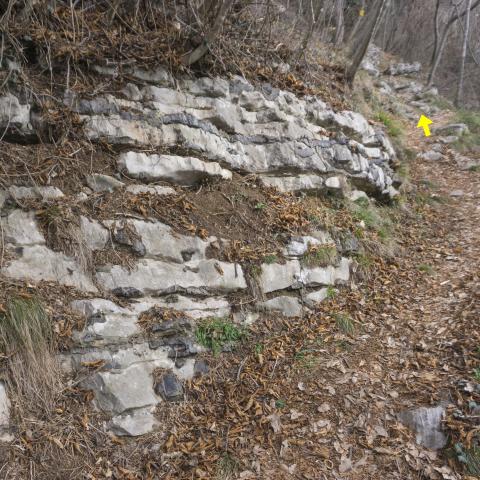 Foto nr. 10 In qualche tratto è molto evidente la stratificazione rocciosa - © G.S. Marinelli, riproduzione vietata.