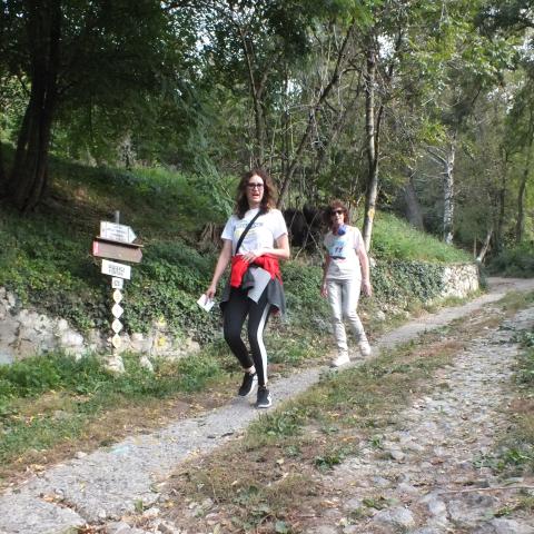 pattuglia nr. 11  - &copy; G.S. Marinelli, riproduzione vietata.
