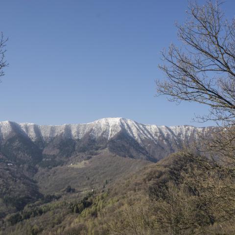   - &copy; G.S. Marinelli, riproduzione vietata.