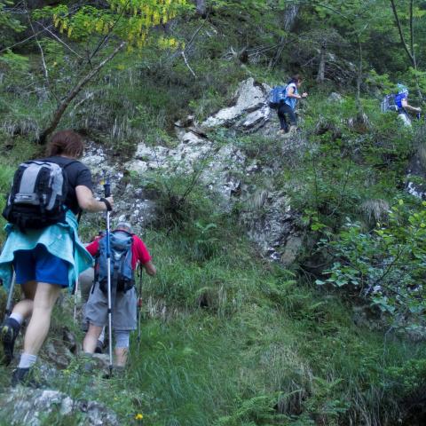   - &copy; G.S. Marinelli, riproduzione vietata.