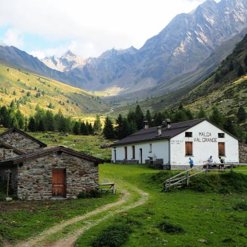   - &copy; G.S. Marinelli, riproduzione vietata.