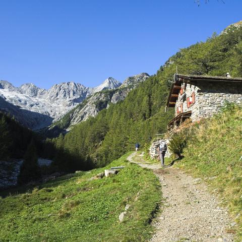   - &copy; G.S. Marinelli, riproduzione vietata.
