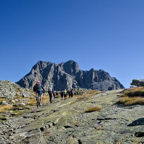   - &copy; G.S. Marinelli, riproduzione vietata.