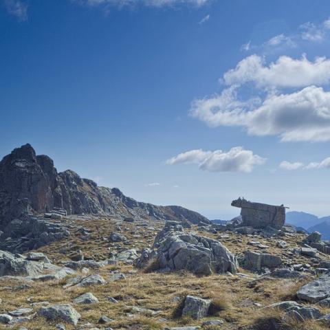   - &copy; G.S. Marinelli, riproduzione vietata.