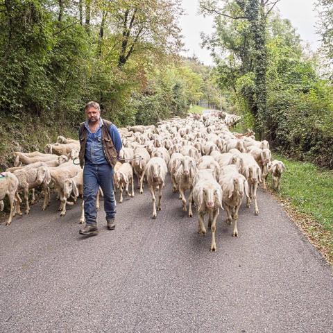   - &copy; G.S. Marinelli, riproduzione vietata.
