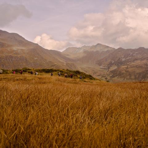   - &copy; G.S. Marinelli, riproduzione vietata.