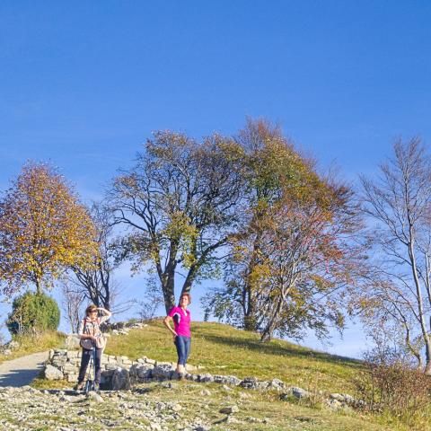   - &copy; G.S. Marinelli, riproduzione vietata.