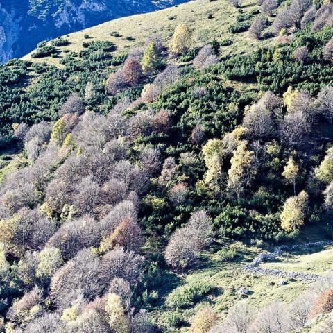   - &copy; G.S. Marinelli, riproduzione vietata.