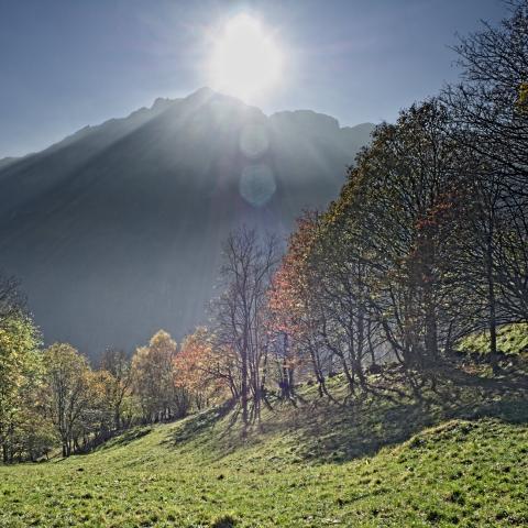   - &copy; G.S. Marinelli, riproduzione vietata.