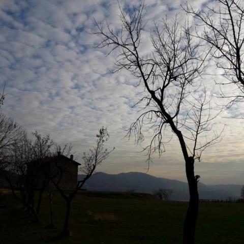   - &copy; G.S. Marinelli, riproduzione vietata.