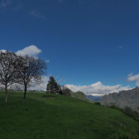   - &copy; G.S. Marinelli, riproduzione vietata.
