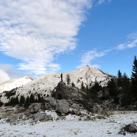   - &copy; G.S. Marinelli, riproduzione vietata.