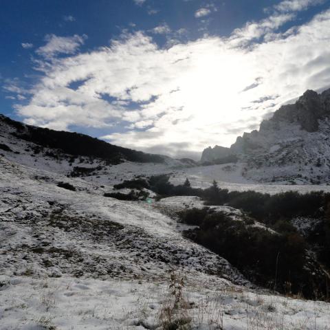   - &copy; G.S. Marinelli, riproduzione vietata.