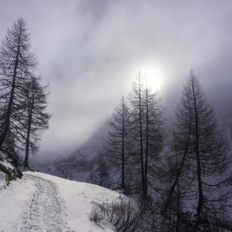   - &copy; G.S. Marinelli, riproduzione vietata.