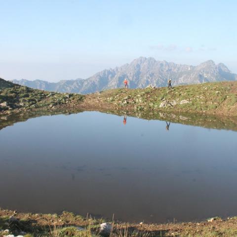   - &copy; G.S. Marinelli, riproduzione vietata.