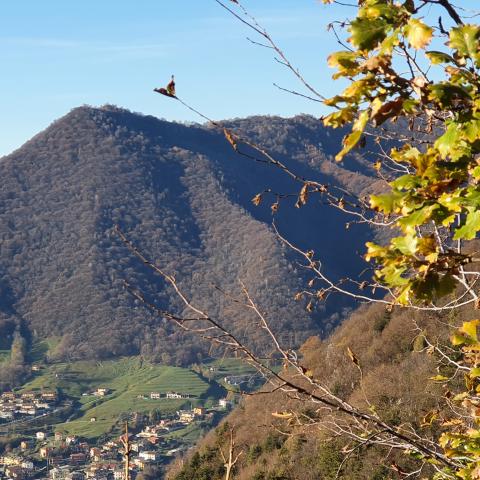 foto nr. 6 il Monte Cereto - © G.S. Marinelli, riproduzione vietata.