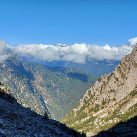   - &copy; G.S. Marinelli, riproduzione vietata.