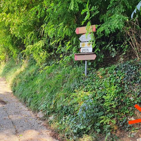 dopo una marcata curva a sinistra lasciamo, sulla nostra destra, lo stacco del sentiero nr.7 (sentiero della Barchessa Antonio Manganoni)