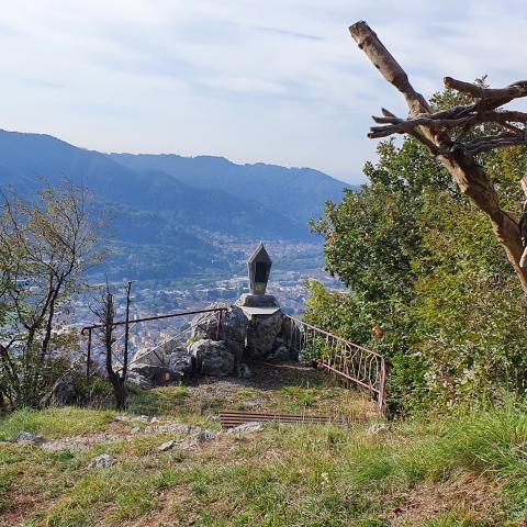 foto nr. 2 l'albero della pace in prossimità della Madonnina - © G.S. Marinelli, riproduzione vietata.