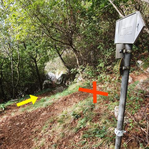  incrociamo, ancora sulla destra, (quota 698 m) il sentiero nr. 2 detto anche la “scorciatoia dei cacciatori” che sale molto ripido