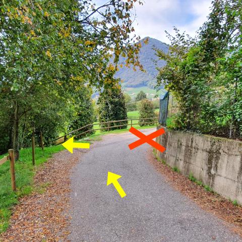 Foto nr. 7 al termine di un breve tratto rettilineo svoltiamo a sinistra per imboccare un sentiero in rapida discesa - © G.S. Marinelli, riproduzione vietata.