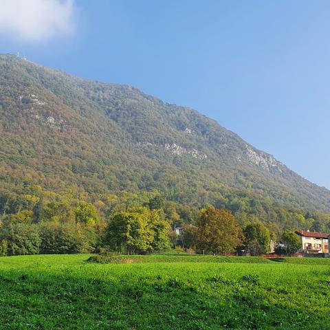 il versante sud del Monte Rena, ricoperto in gran parte da boschi