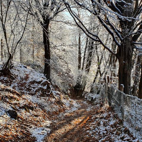  neve sul sentiero - © G.S. Marinelli, riproduzione vietata.