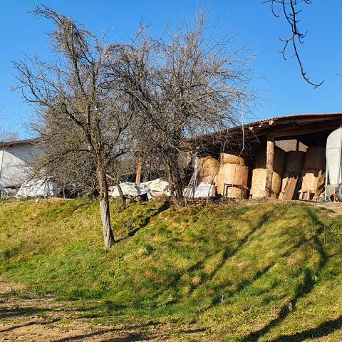  Allevamento di capre sulle pendici del monte - © G.S. Marinelli, riproduzione vietata.