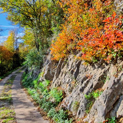  colori autunnali sulla strada per Merà - © G.S. Marinelli, riproduzione vietata.