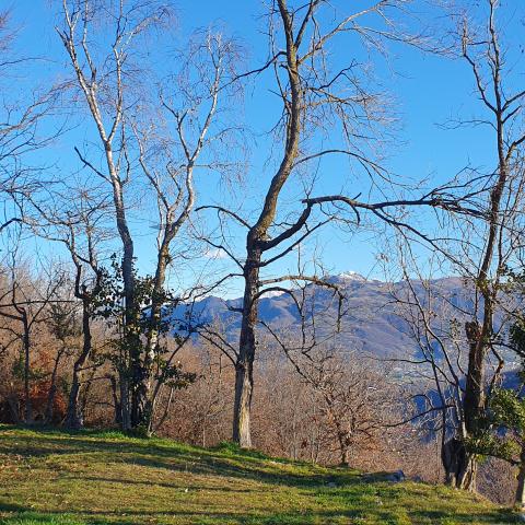 Foto nr. 17 il roccolo - © G.S. Marinelli, riproduzione vietata.