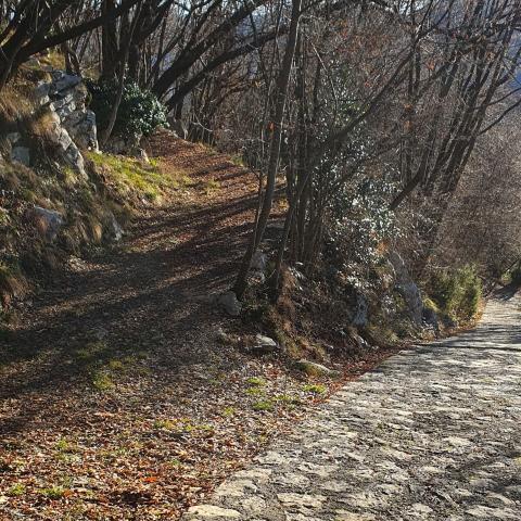 Foto nr. 1 Poco dopo aver lasciato la località Pradel vediamo sulla nostra destra un'altra stradina - © G.S. Marinelli, riproduzione vietata.