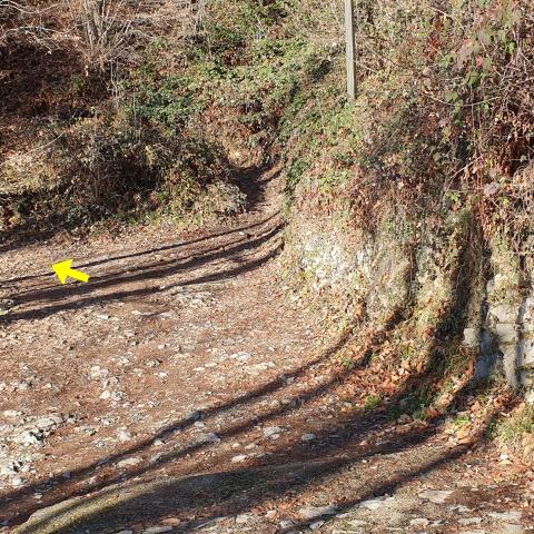 Foto nr. 1 Lasciamo quindi la strada ed imbocchiamo il sentiero indicato dal cartello - © G.S. Marinelli, riproduzione vietata.