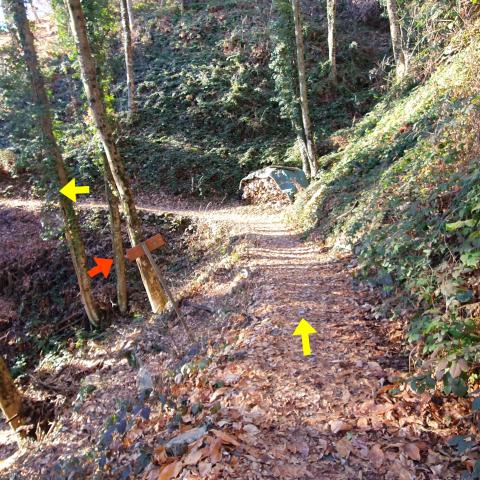 in prossimità di una valletta incrociamo, sulla sinistra, il sentiero nr. 6-Agostino Noris che scende a valle