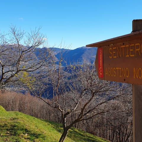 Foto nr. 1 Procediamo in direzione opposta di quella indicata dal cartello del sentiero nr. 6 - © G.S. Marinelli, riproduzione vietata.