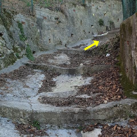 Foto nr. 7 Imbocchiamo il sentiero a gradoni - © G.S. Marinelli, riproduzione vietata.