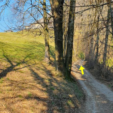 Foto nr. 1 Procediamo in salita su fondo in cemento - © G.S. Marinelli, riproduzione vietata.