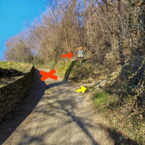 Foto nr. 4 svoltiamo a sinistra e imbocchiamo un ripido sentiero con sassi e sterrato - © G.S. Marinelli, riproduzione vietata.
