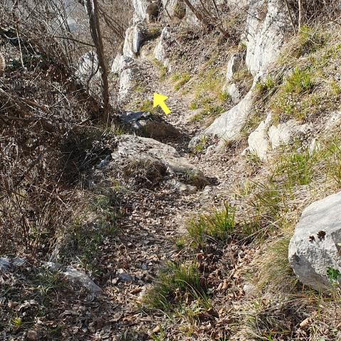 Foto nr. 7 ci troviamo su un tratto di sentiero meno ripido con ancora alcune rocce affioranti - © G.S. Marinelli, riproduzione vietata.
