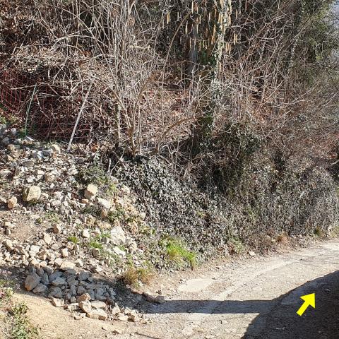 Foto nr. 16 oltrepassiamo, sulla sinistra, l'imbocco del ripido sentiero della Barchessa che abbiamo fatto all'andata - © G.S. Marinelli, riproduzione vietata.
