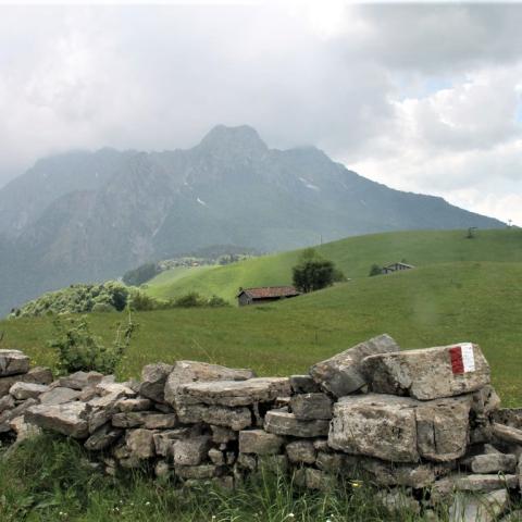  - &copy; G.S. Marinelli, riproduzione vietata.